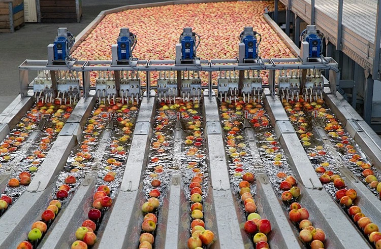 Il flusso del processo della linea di produzione del succo