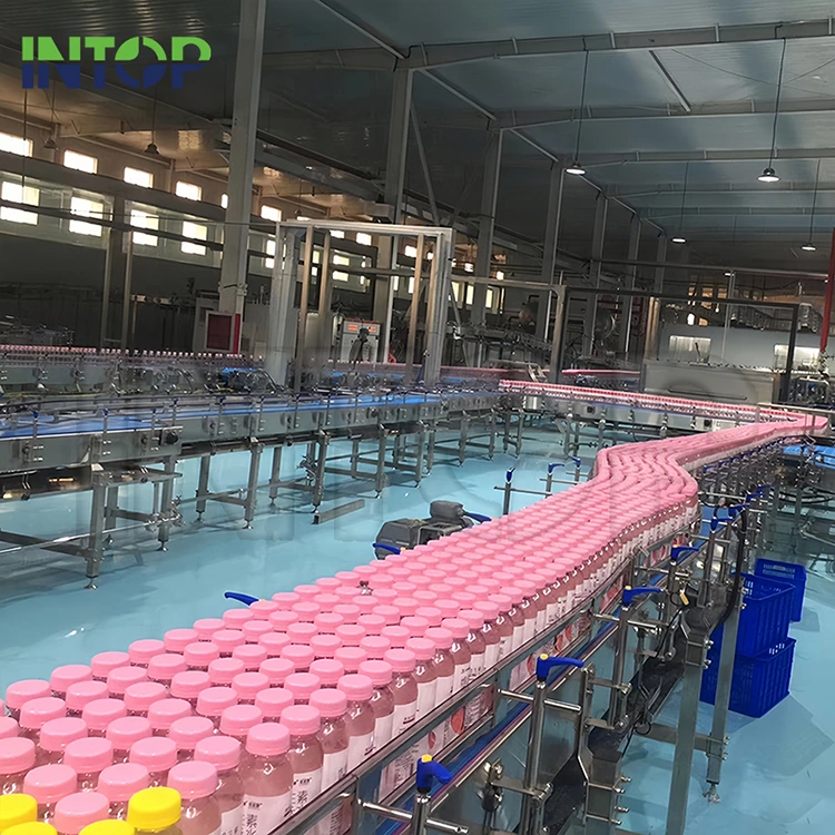 Cosa rende una linea di produzione di succo di fragola efficiente, sicura e pronta per la scala commerciale?