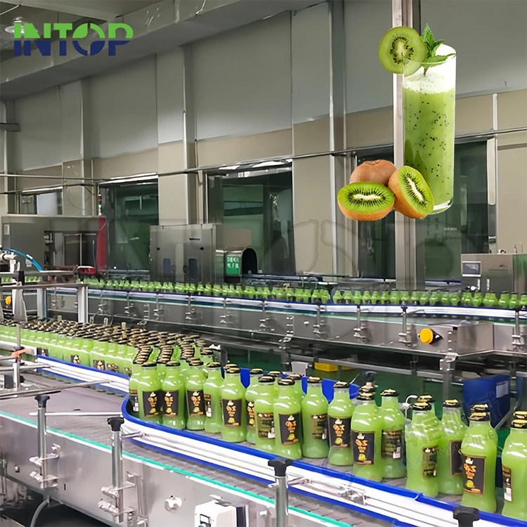 Linea di produzione del succo di kiwi