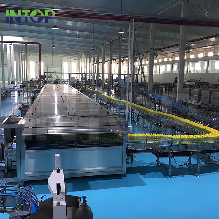 Linea di produzione di succo di mango