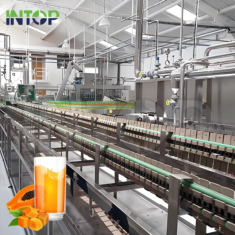 Linea di produzione del succo di papaia