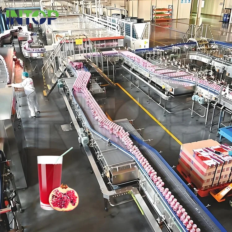 Linea di produzione del succo di melograno
