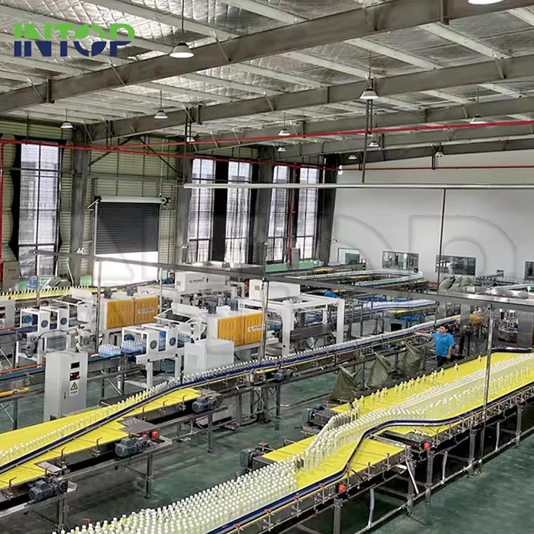 Linea di produzione di acqua pura e minerale